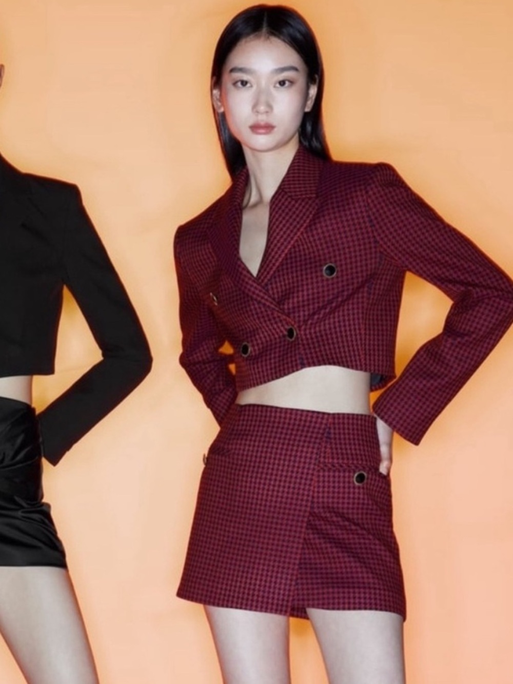 SET Zara Houndstooth Cropped Blazer & Mini Skirt M/L